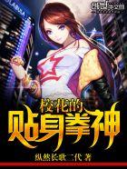 校花的贴身高手 视频