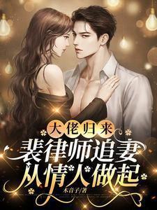 裴律师追妻从情人做起免费