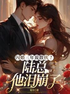 闪婚陆先生别来无恙免费阅读