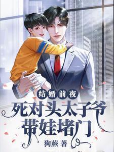 结婚前夜，死对头太子爷带娃堵门