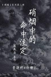 硝烟中的命中注定