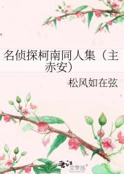 名侦探柯南同人集（主赤安）