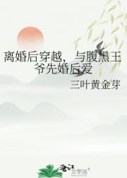 离婚后穿越,与腹黑王爷先婚后爱