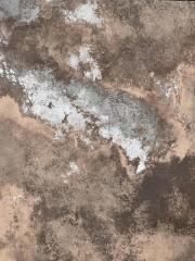 我们共享一个凶手