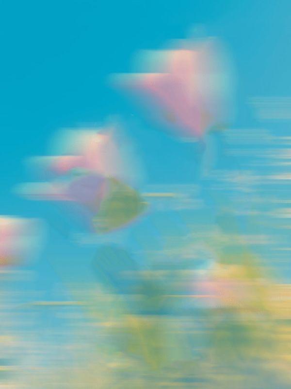 新婚夜将夫君让给寡嫂，我成了皇后